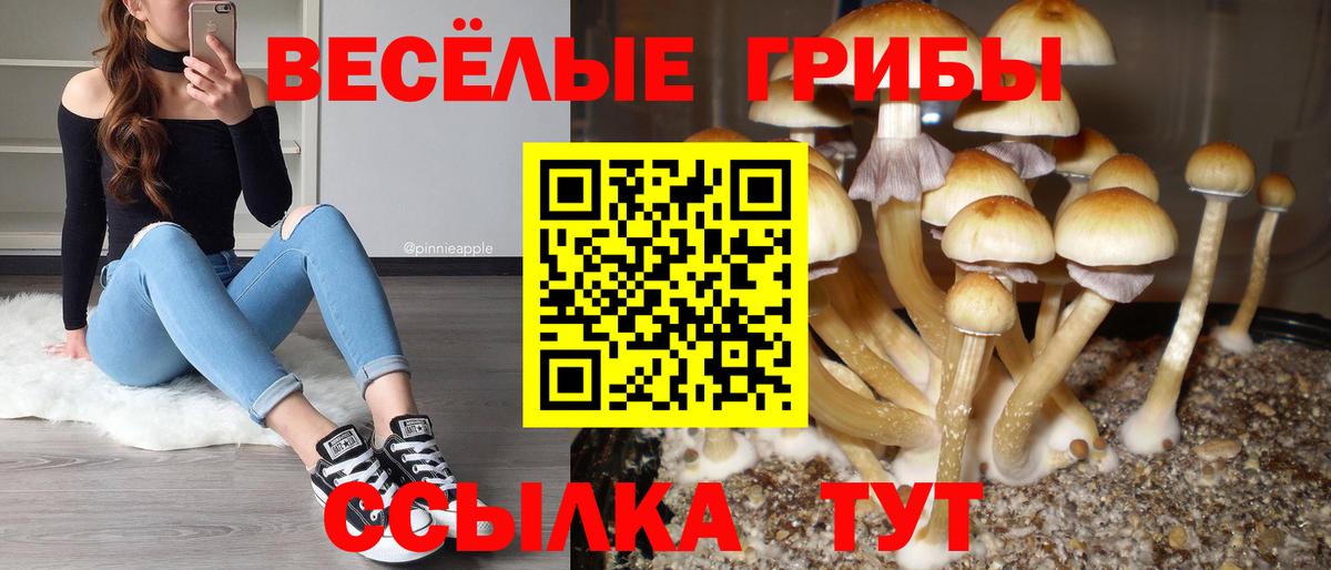Галлюциногенные грибы ЛСД  где можно купить наркотик  Псилоцибиновые грибы MAGIC MUSHROOMS  Химки  Вход с VPN 