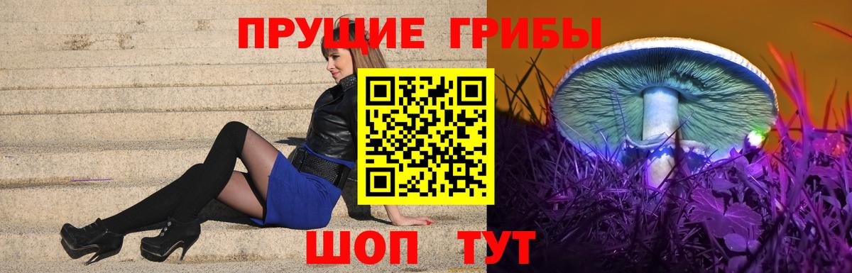 Псилоцибиновые грибы Cubensis Химки